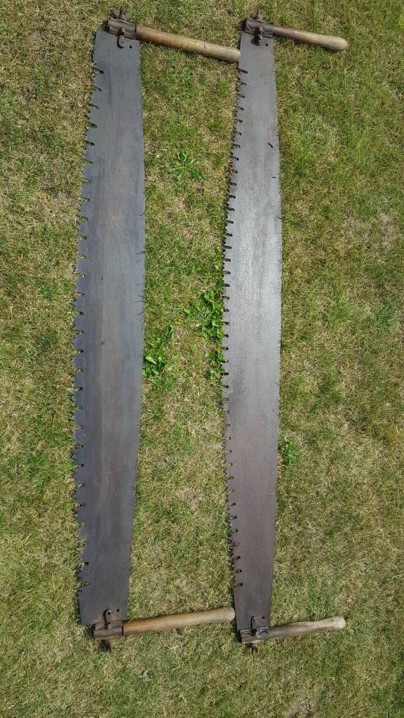 Vintage crosscut saws
