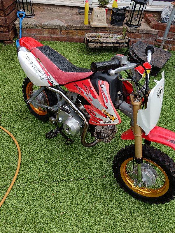 50cc pit bike 