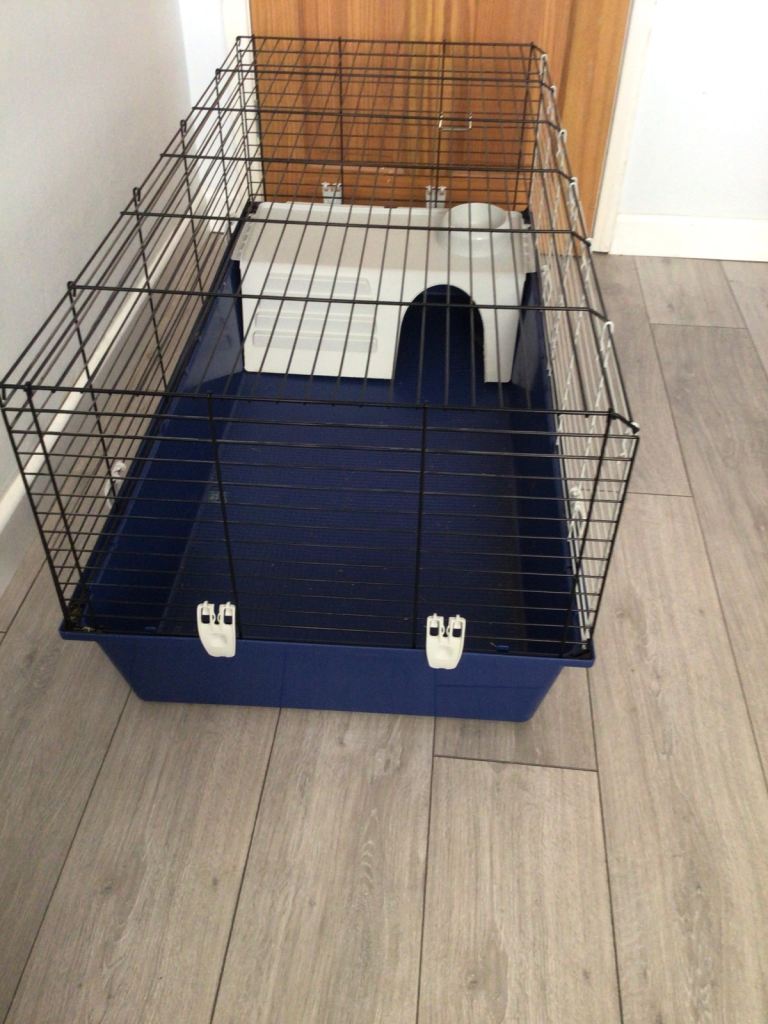 Indoor Guinea pig cage