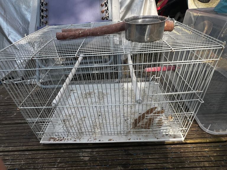 Bird cage solid coated iron with perches and accessories with tray folding