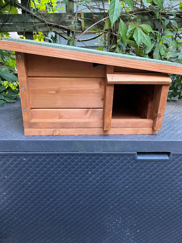 New hedgehog house 