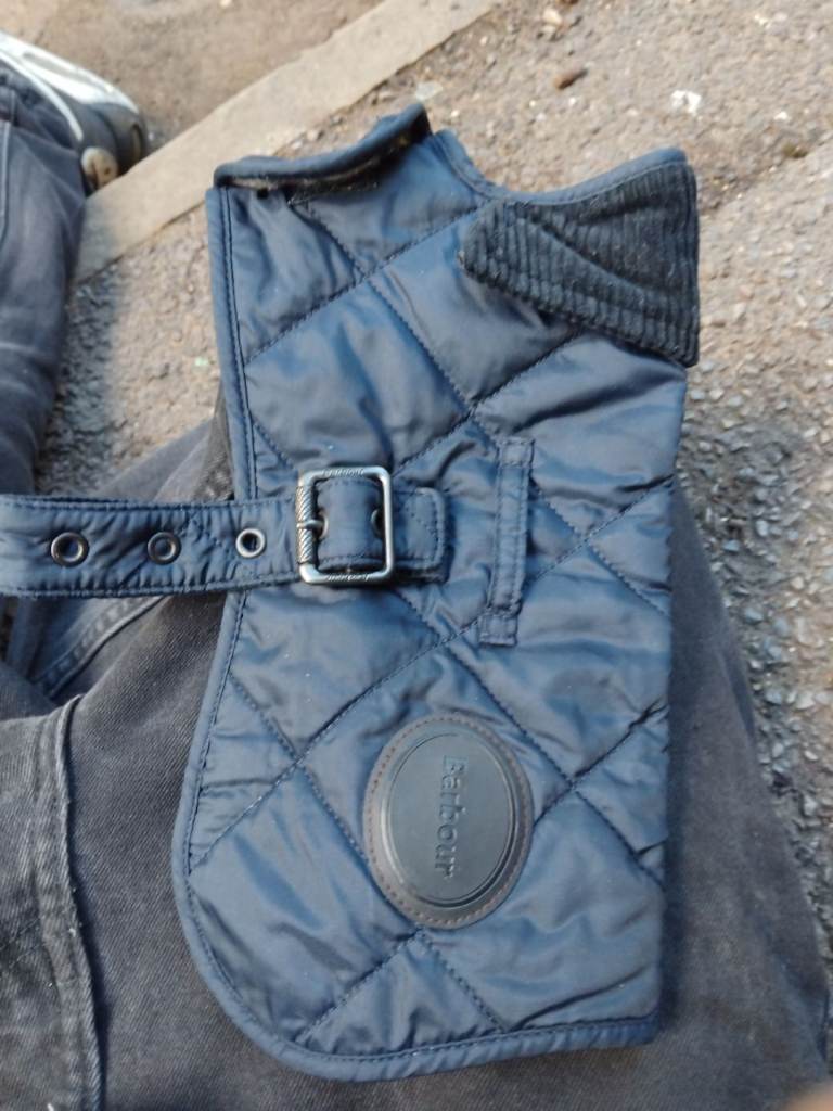 Cool barbour dog's coat 