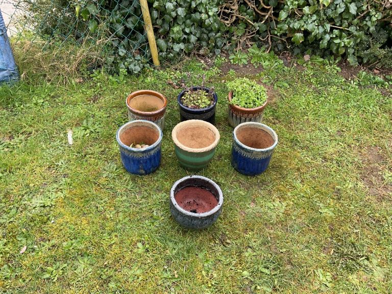 Collection of 7 Ceramic Plant Pots