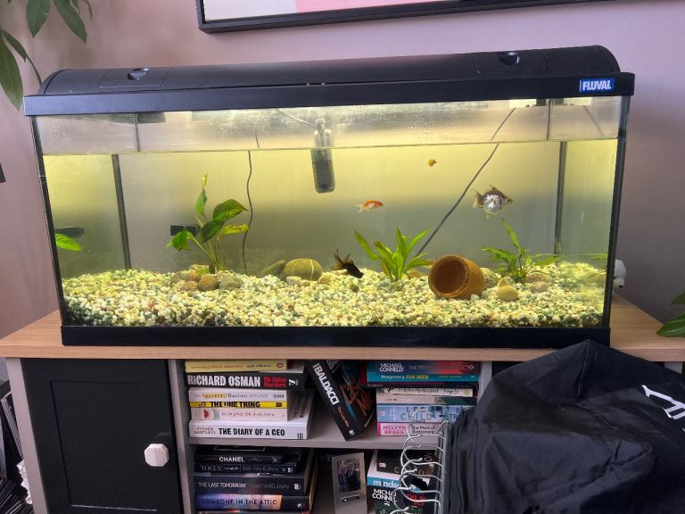 125L fish tank with fish, plants, stones - cabinet also can be included