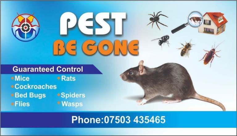 Emergency any time any day pest control rat mice bedbugs cockroaches. 
