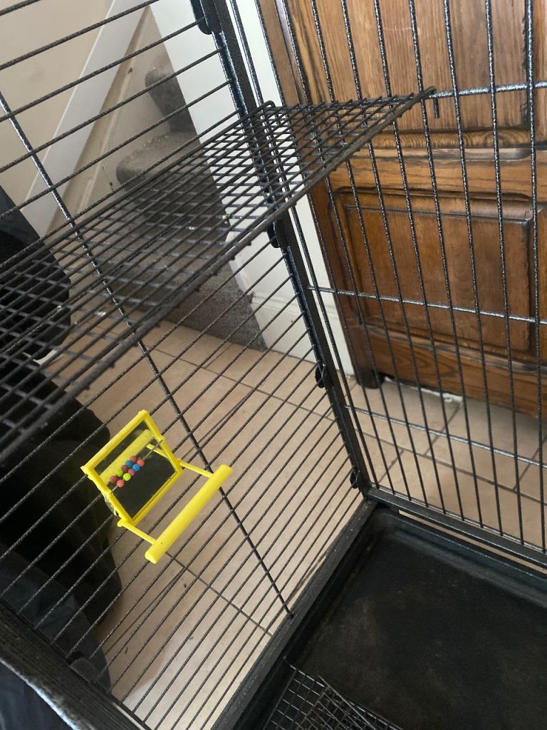 Large pet cage 