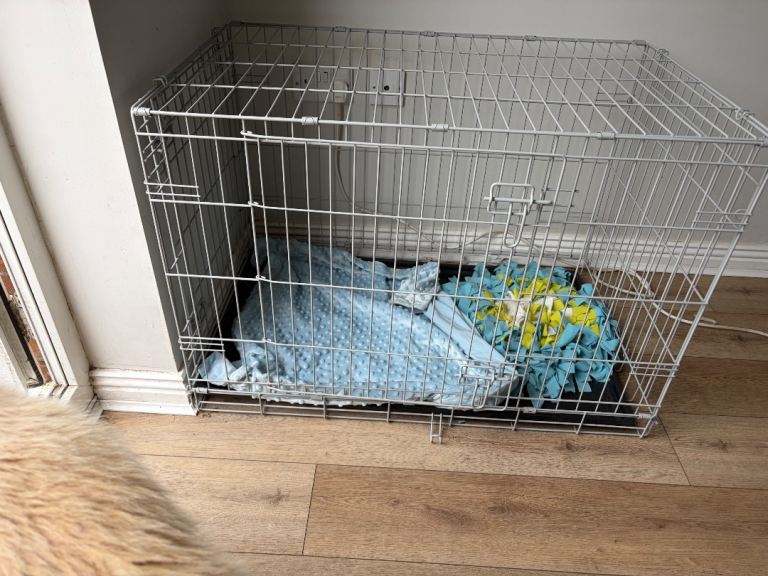 Medium Dog Crate