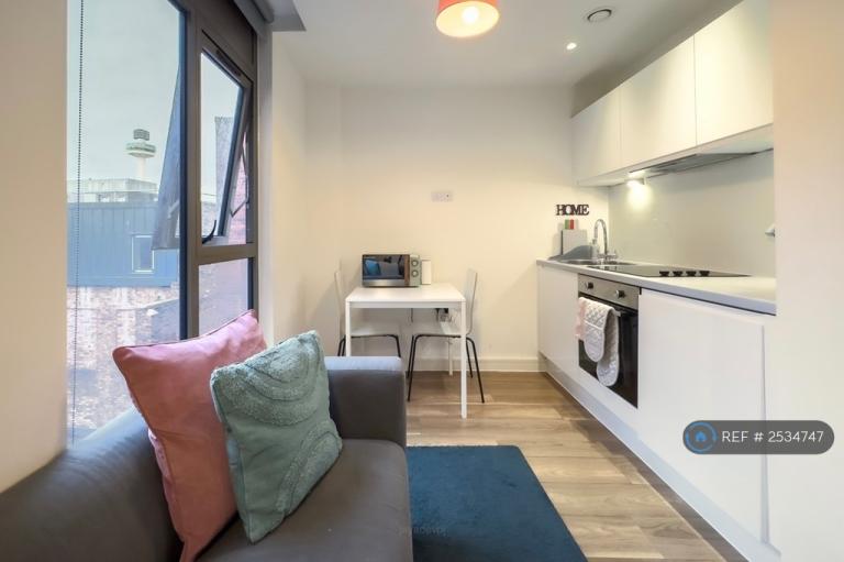 Studio flat in Block D, Liverpool, L1 (#2534747)
