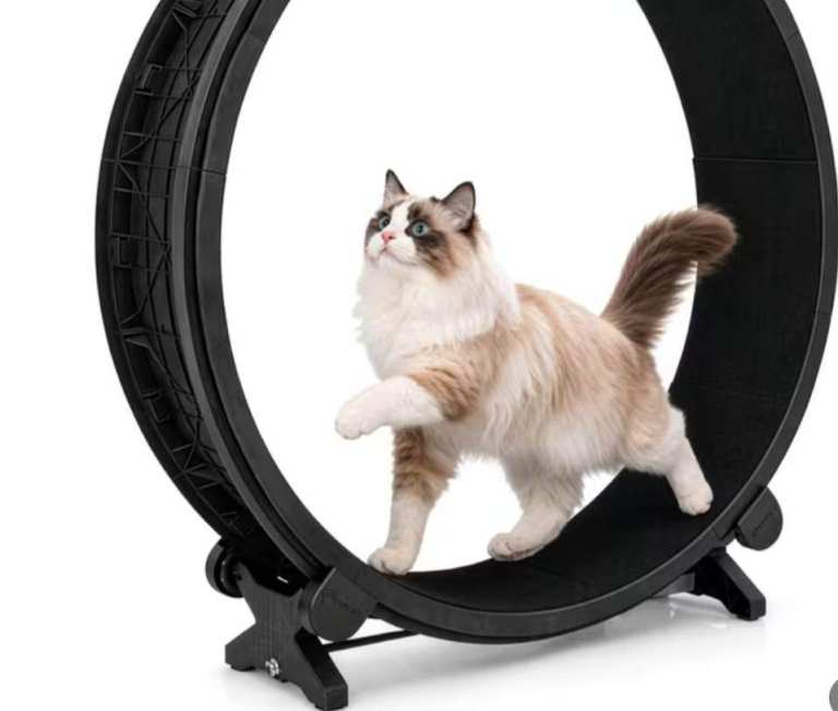 Large Cat, Small dog,Pets Exercise Wheel / Treadmill