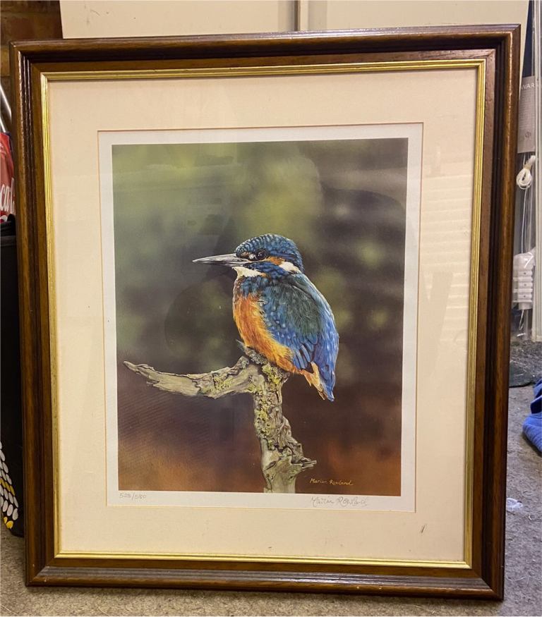 Kingfisher Original print - perfect birthday present