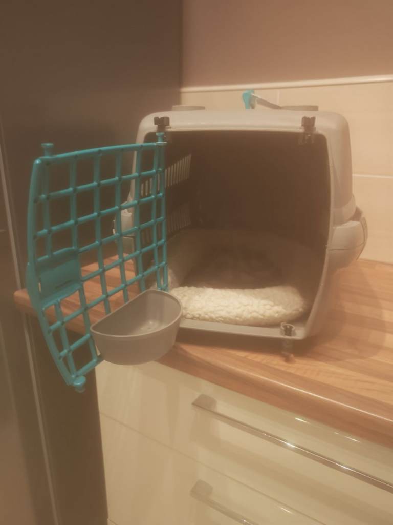 Medium sized cat carrier 