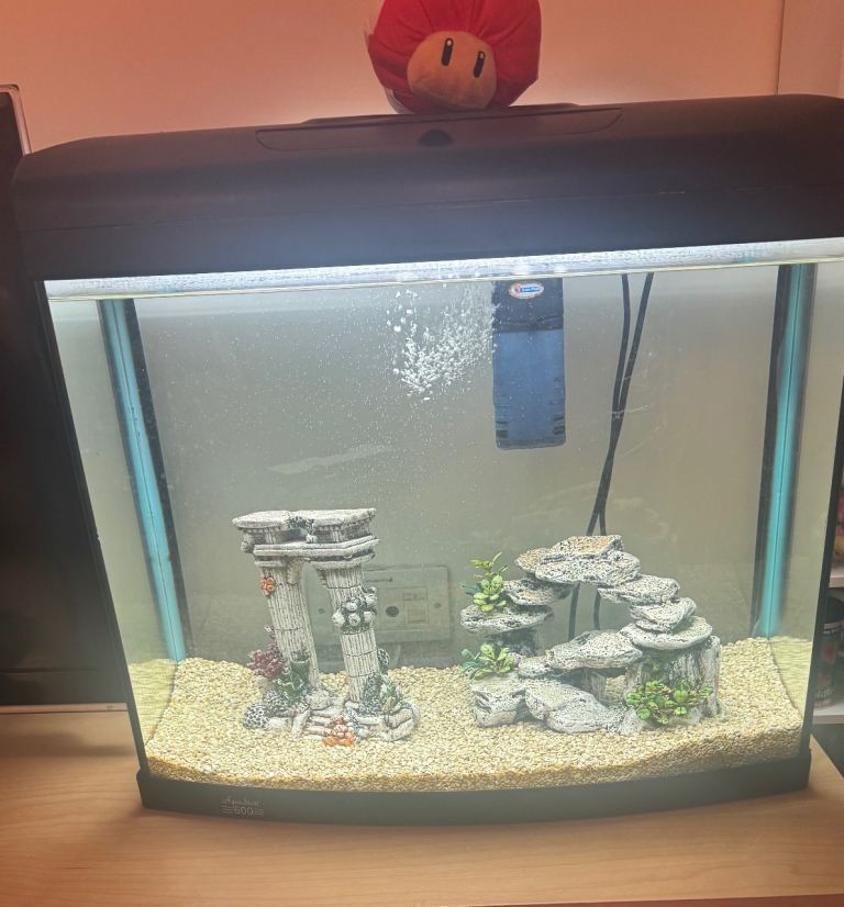Fish tank