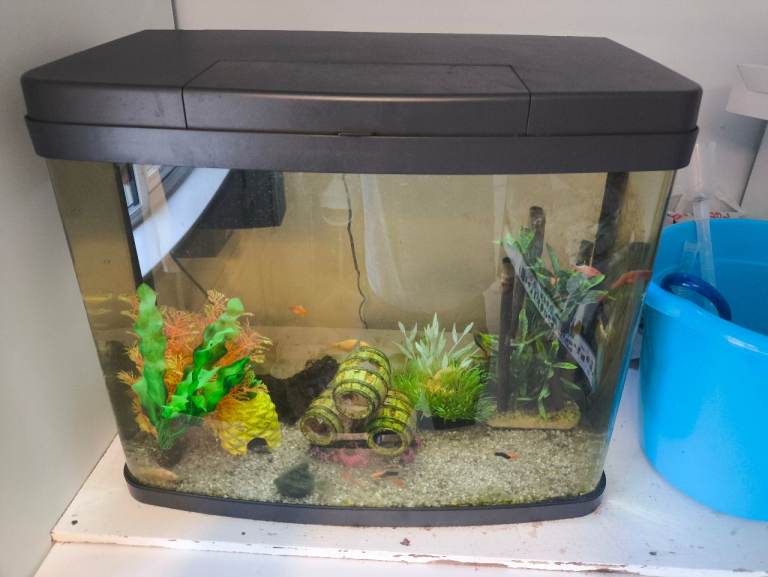 40L Love Fish Tank with fish 