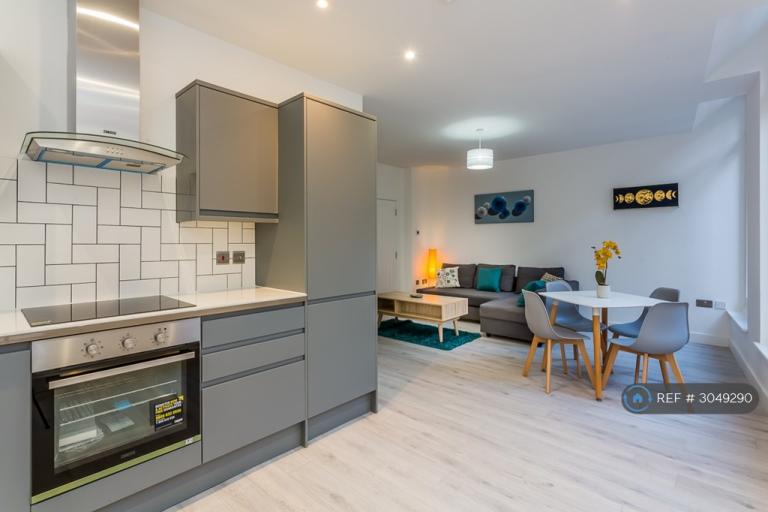 2 bedroom flat in Suffolk House, Hull, HU1 (2 bed) (#3049290)