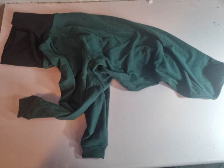 Pumyporeity Cold Weather Dog Fleece in Medium size - Green.