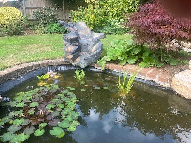 Garden Pond Waterfall