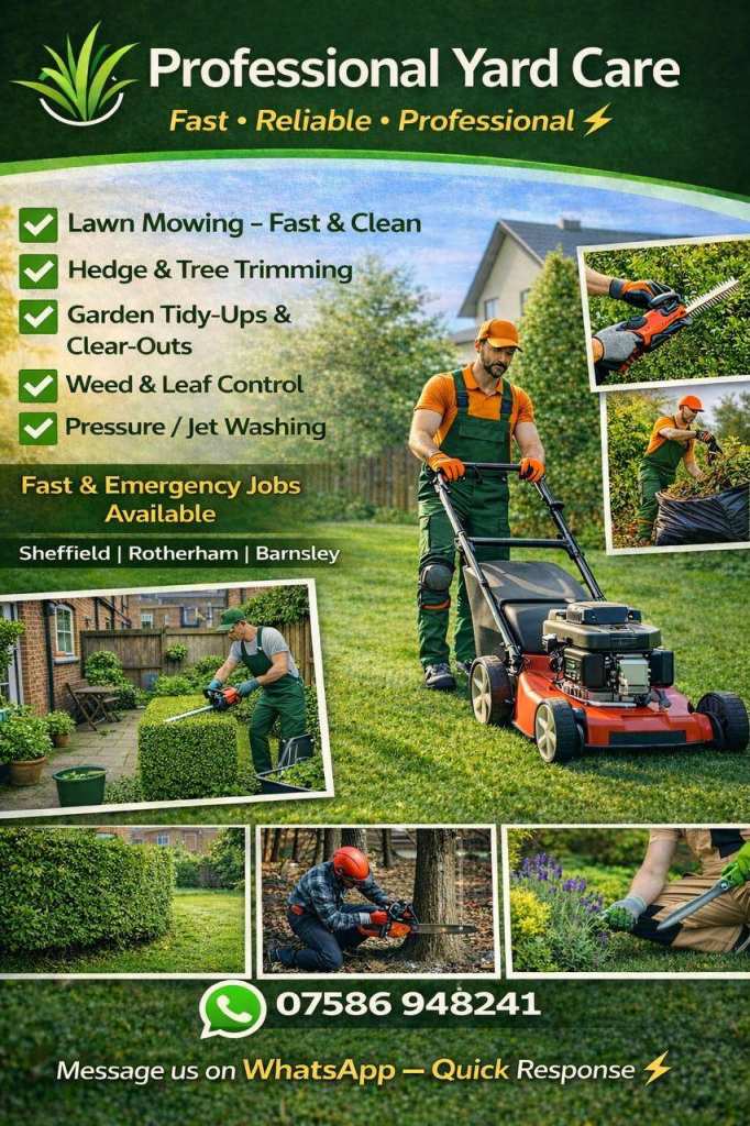 Grass Cutting & Tree Trimming – Cheap & Local