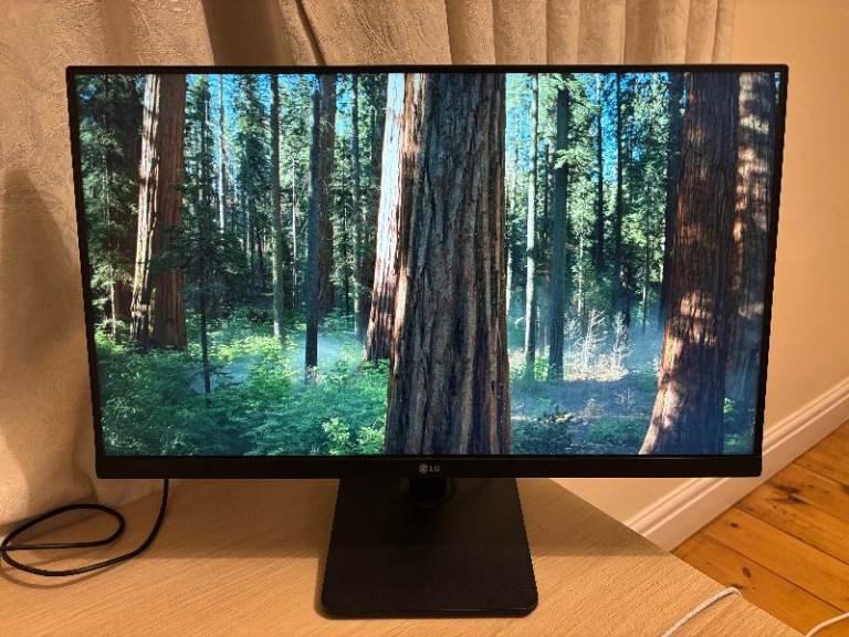 LG 24'' PC Monitor (24MS500)