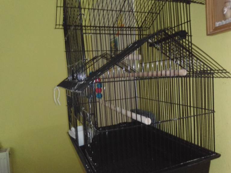 Tall bird cage 