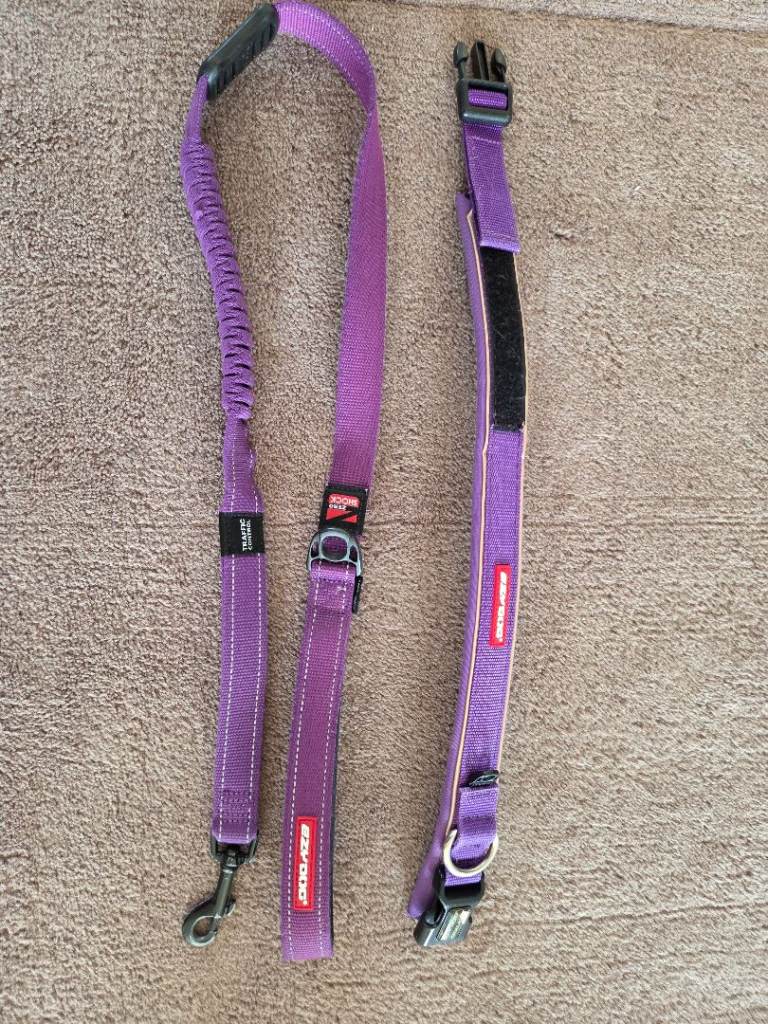 EZYDOG Zero Shock Purple Collar and Lead