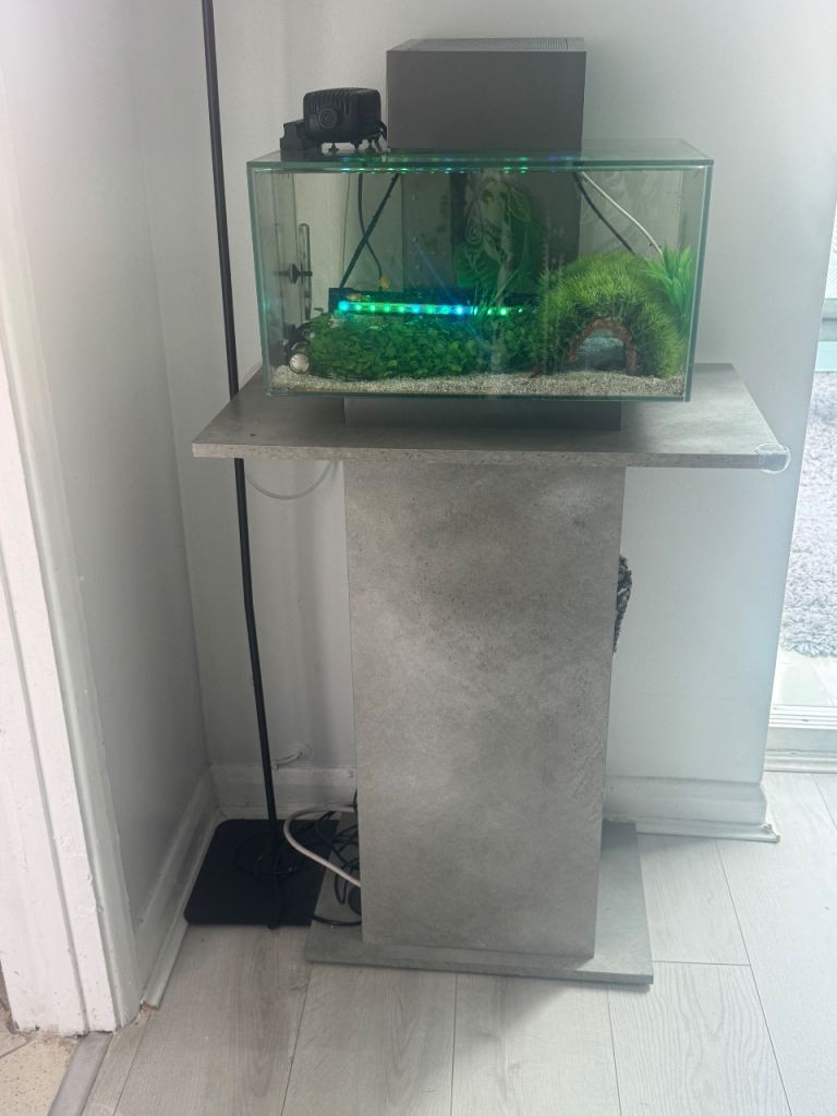 Fluval edge, 23ltr aquarium tank, with grey cabinet