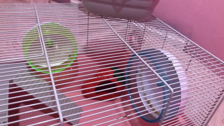 Hamster cage and carrier