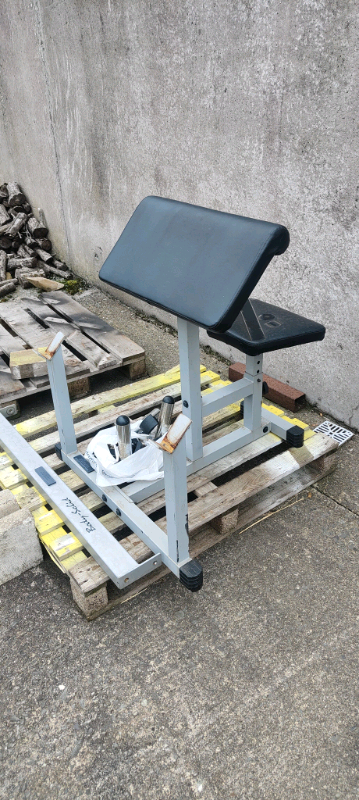 Bodystrength Arm curl bench 