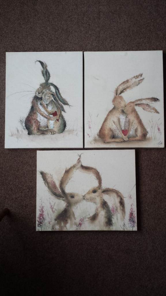 Love Country - x3 Cute Hares / Rabbits In Love Canvas Prints By Artist Sarah Reilly
