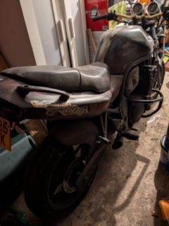 1994 Suzuki Rebel 600 - Project bike, Spares or Repair