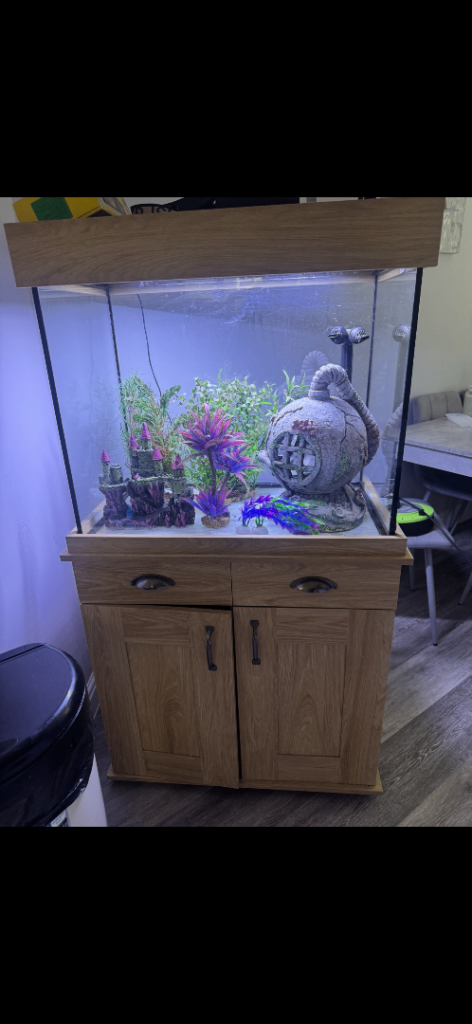 Fluval fish tank 
