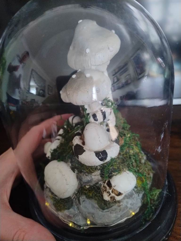 NEW - TKMaxx Halloween gothic snake skull and mushroom light up dome cloche
