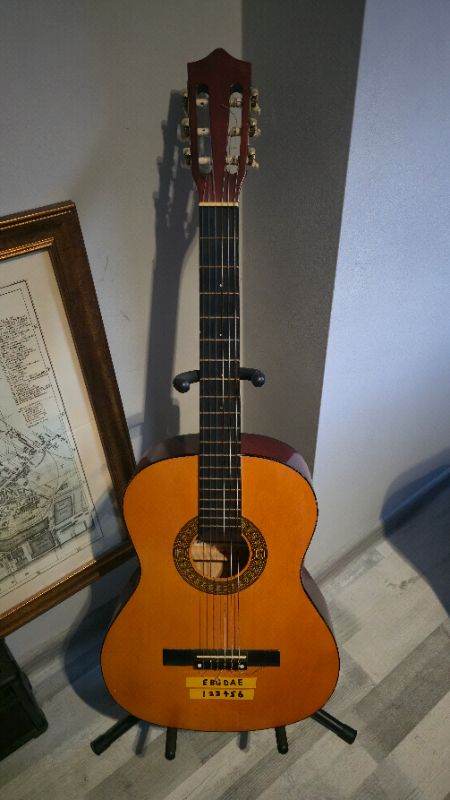 Acoustic Guitar 