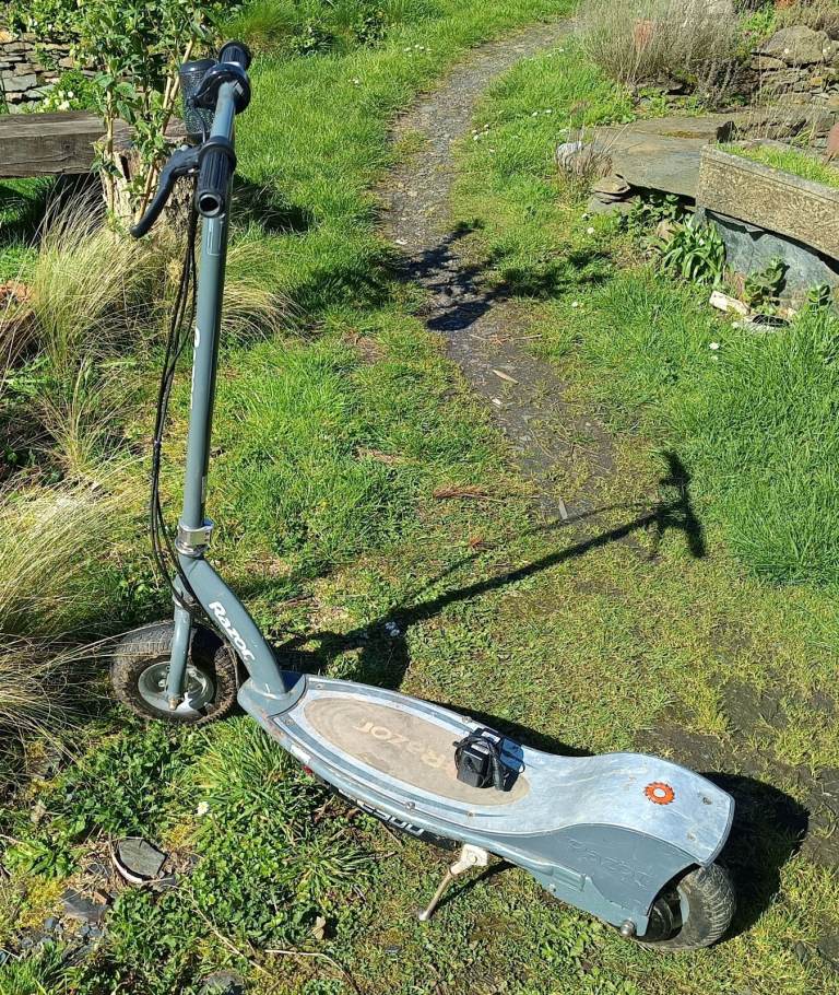 Razor E300 24V Scooter