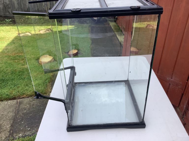 Small terrarium