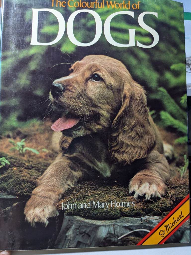 The Colourful World of Dogs hardcover book