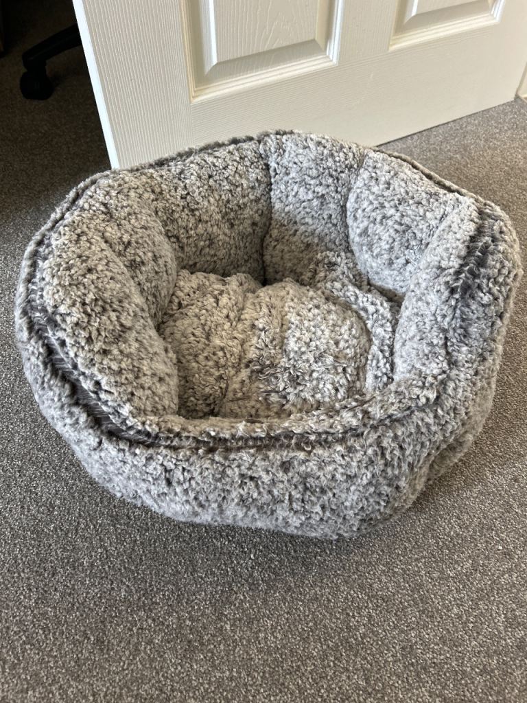 Cat bed