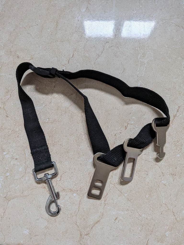 Pet seatbelt attachment