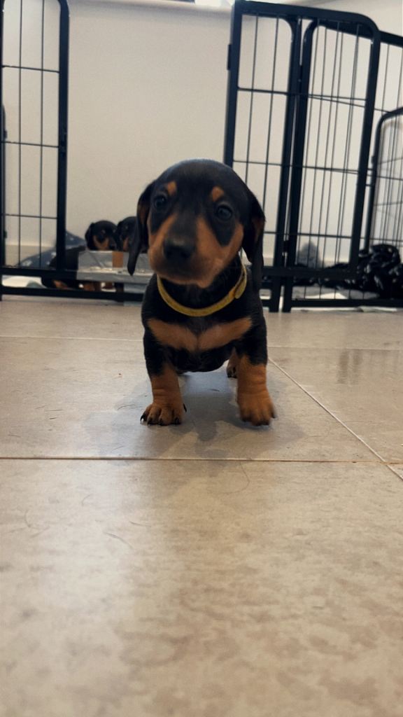 Last little girl left 🥰 yellow 💛