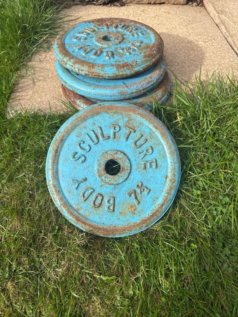 30kg Body Sculpture cast iron Weight Plates (7.5kg x4)