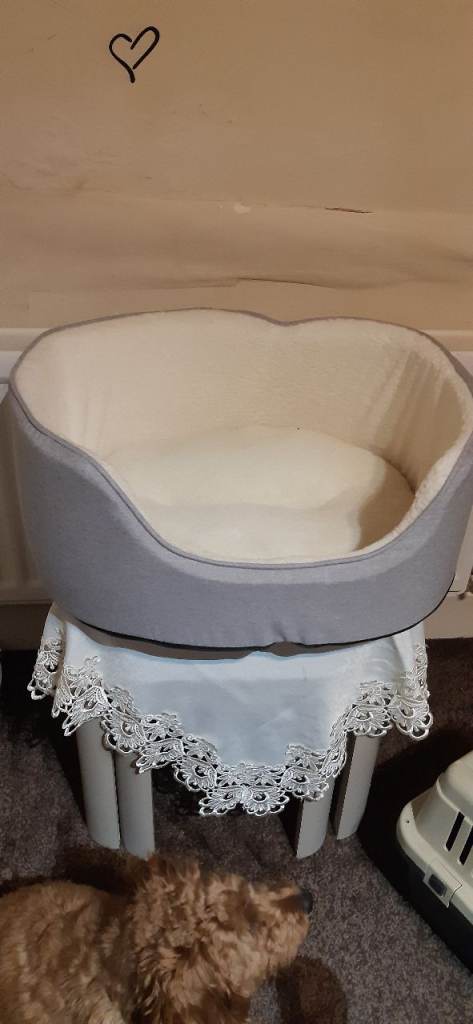 Brand new medium dog bed