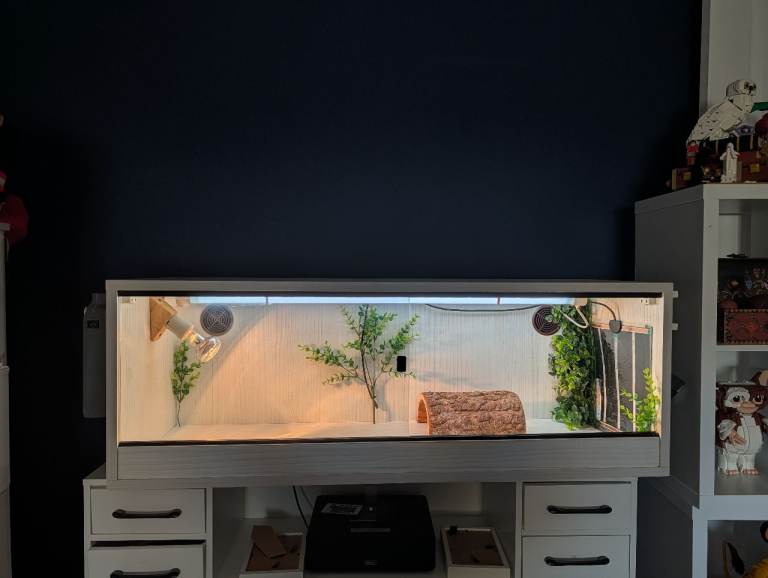 4ft vivarium with heat bulb, UV bulb and heat mat and wooden hide