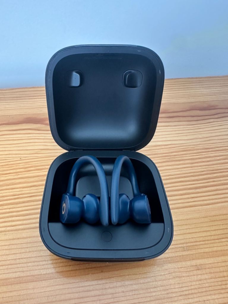 Beats by Dr. Dre Powerbeats Pro In Ear Headphones - Blue