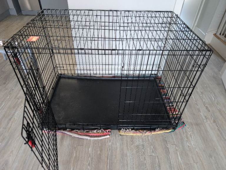 Kong X Large Crate Great Condition 