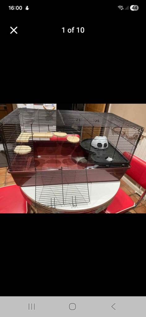 Hamster cage and accessories 