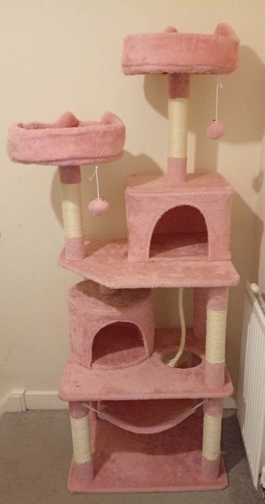 Cat stand (new)