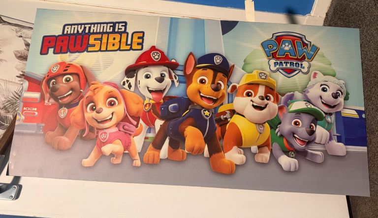 Paw patrol Canvas