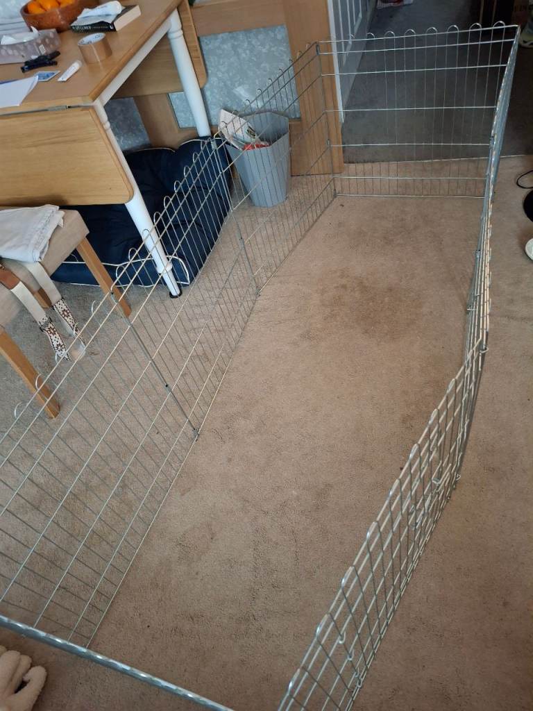 Dog pen