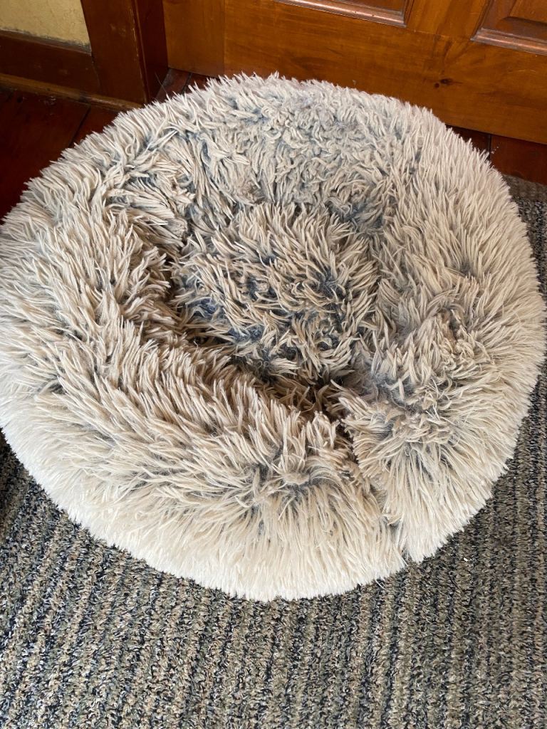 Cat bed 