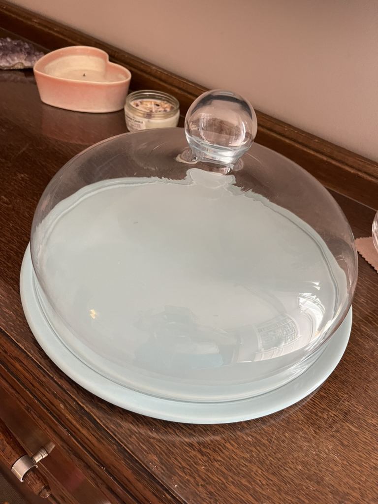 Cake or Food Dome - Duck Egg