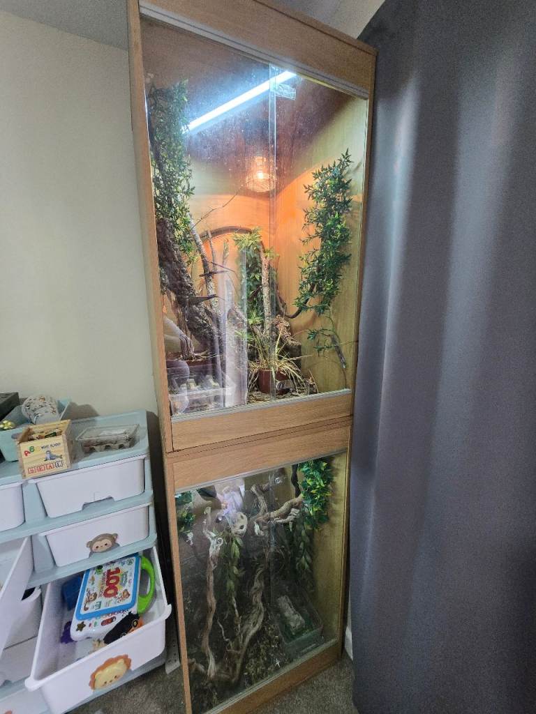 Reptile vivariums